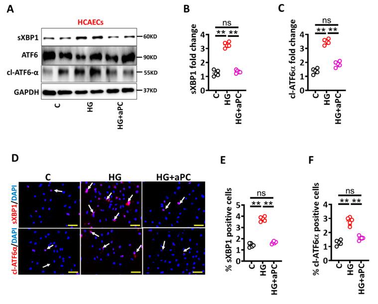 https://cdn.ncbi.nlm.nih.gov/pmc/blobs/cb54/9323824/99644e922247/nutrients-14-02786-g004.jpg