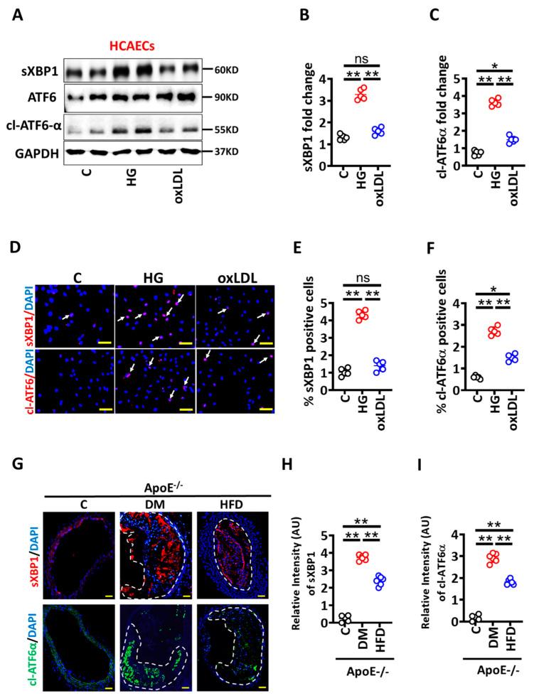https://cdn.ncbi.nlm.nih.gov/pmc/blobs/cb54/9323824/a7e569a67123/nutrients-14-02786-g003.jpg