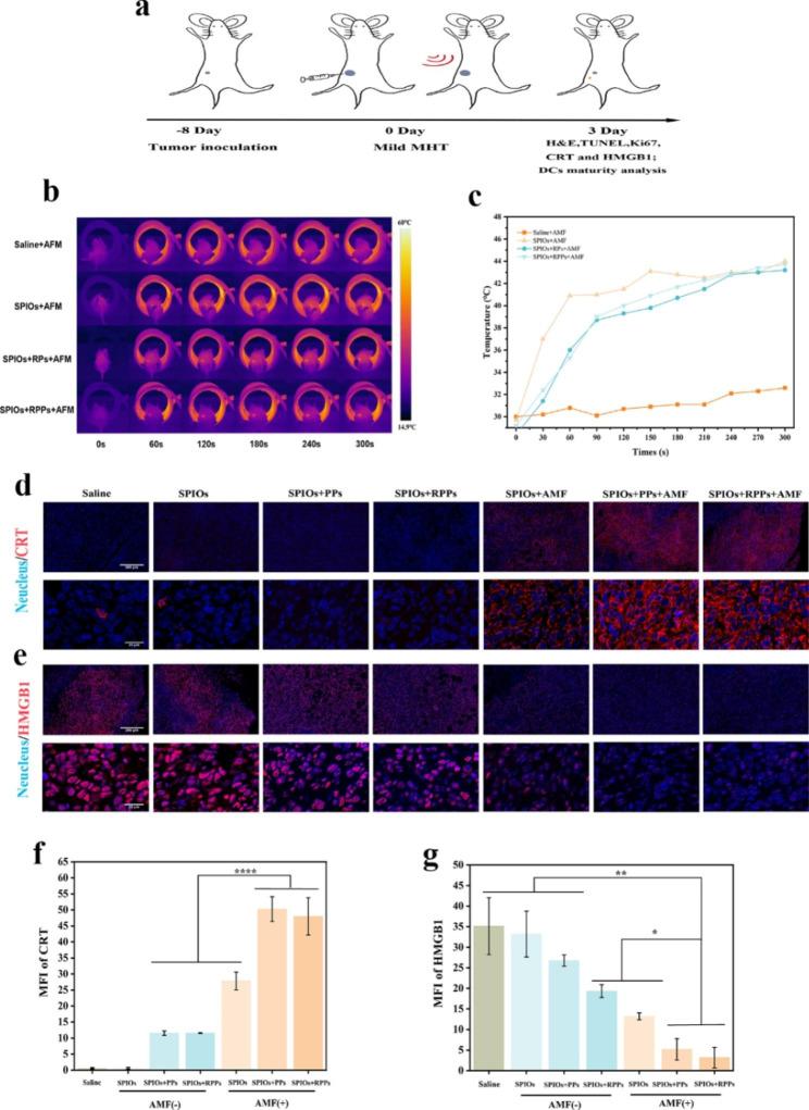 https://cdn.ncbi.nlm.nih.gov/pmc/blobs/cb55/10108485/1e3b87ae0acb/12951_2023_1885_Fig5_HTML.jpg