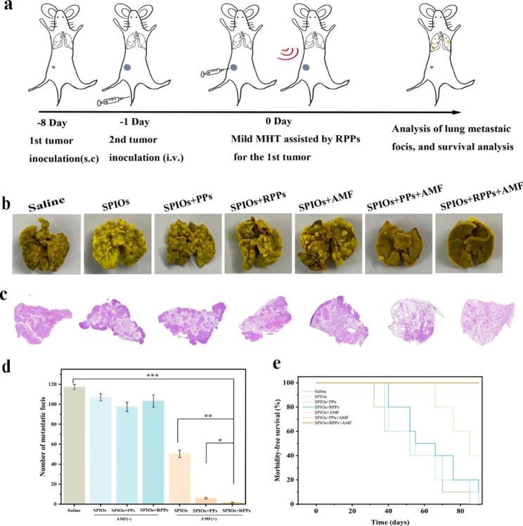 https://cdn.ncbi.nlm.nih.gov/pmc/blobs/cb55/10108485/829087e497d5/12951_2023_1885_Fig8_HTML.jpg