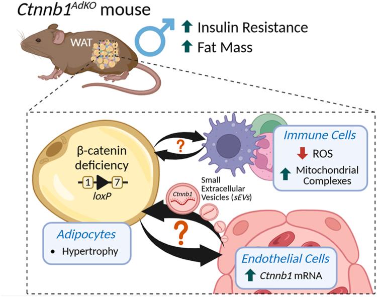 https://cdn.ncbi.nlm.nih.gov/pmc/blobs/cb58/12363599/06733aa35892/ga1.jpg