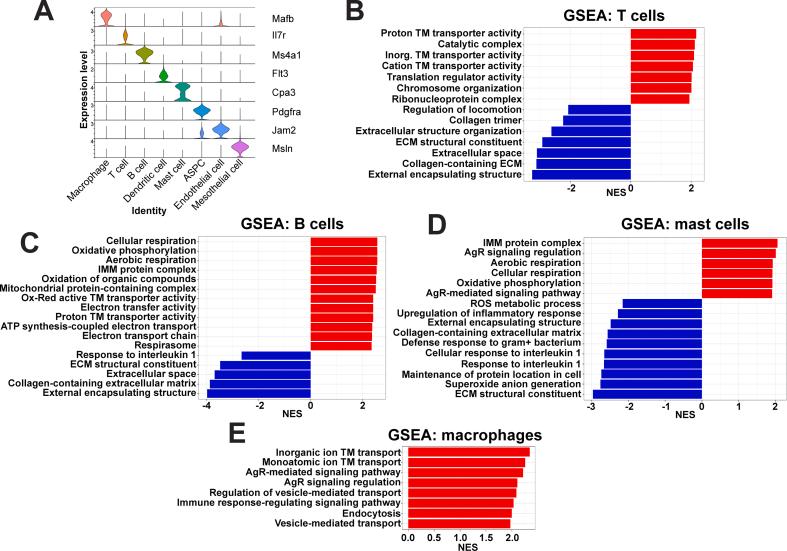 https://cdn.ncbi.nlm.nih.gov/pmc/blobs/cb58/12363599/2a931df7166b/figs11.jpg