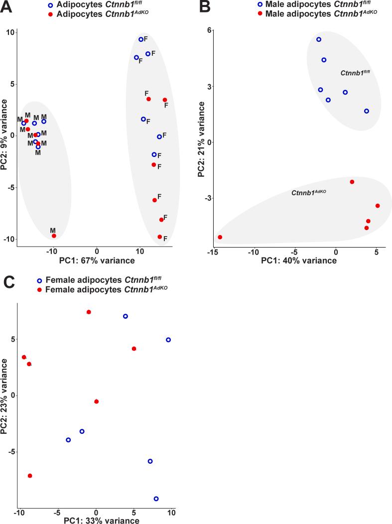 https://cdn.ncbi.nlm.nih.gov/pmc/blobs/cb58/12363599/3f49753c8264/figs6.jpg