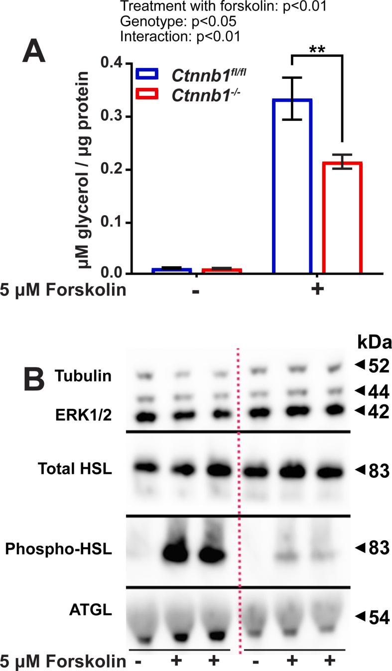 https://cdn.ncbi.nlm.nih.gov/pmc/blobs/cb58/12363599/54e21f233a90/figs7.jpg