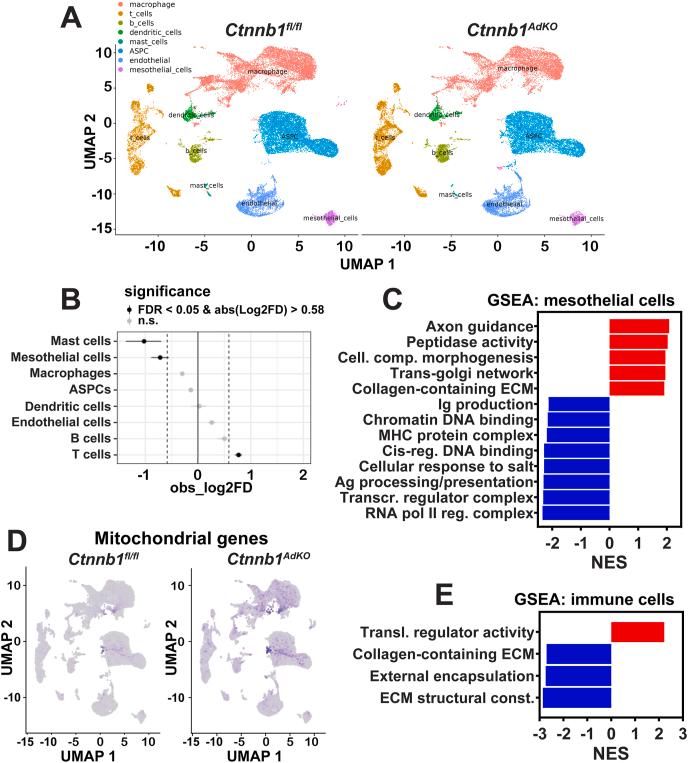 https://cdn.ncbi.nlm.nih.gov/pmc/blobs/cb58/12363599/8c15545ee249/gr6.jpg