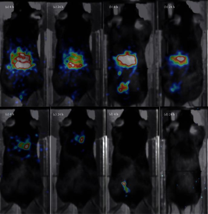 https://cdn.ncbi.nlm.nih.gov/pmc/blobs/cb58/7953590/41c4e44c350f/MOI2021-6677847.008.jpg