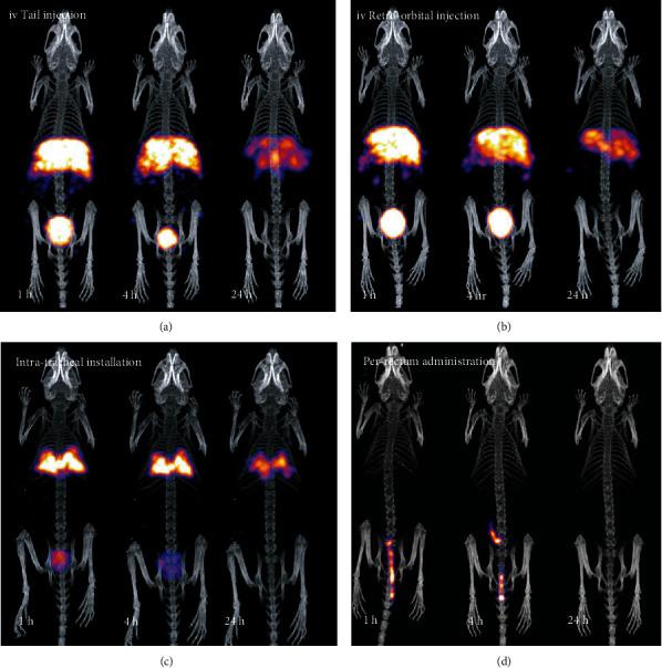 https://cdn.ncbi.nlm.nih.gov/pmc/blobs/cb58/7953590/ef7b5c5d6d8d/MOI2021-6677847.009.jpg