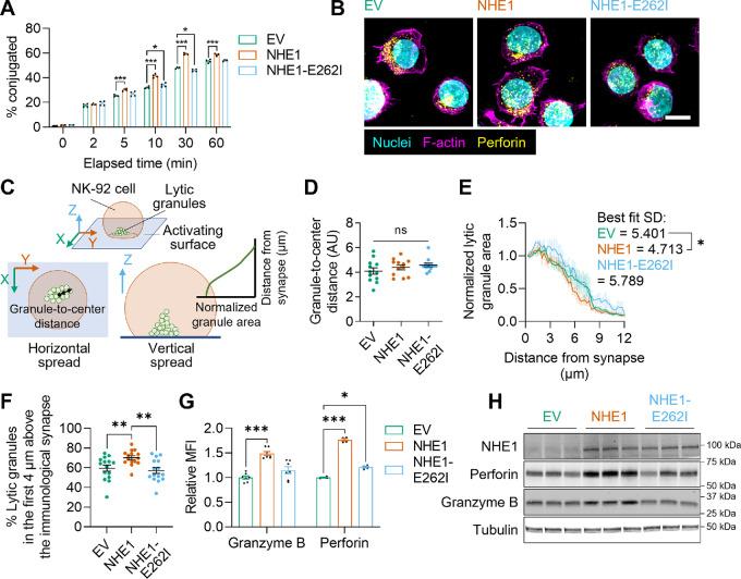 https://cdn.ncbi.nlm.nih.gov/pmc/blobs/cb59/10010377/3ff3d2a81fce/crc-22-0270_fig6.jpg
