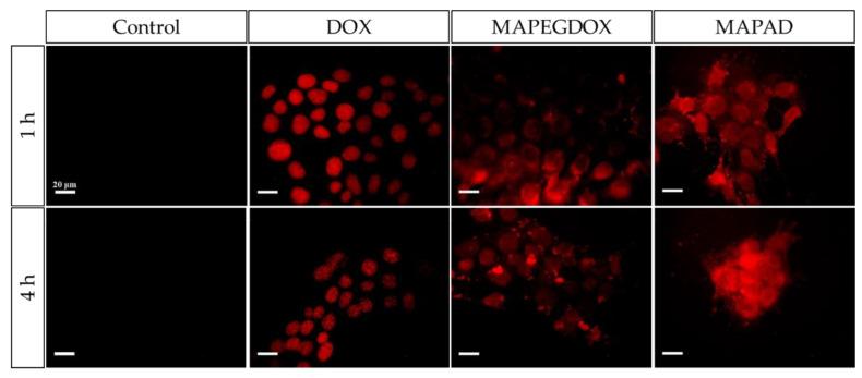 https://cdn.ncbi.nlm.nih.gov/pmc/blobs/cb5a/10934748/fa8c837168db/molecules-29-01030-g014.jpg