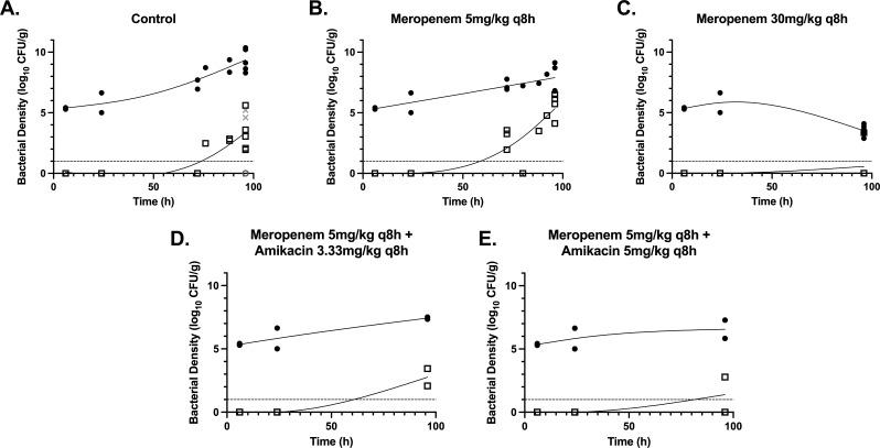 https://cdn.ncbi.nlm.nih.gov/pmc/blobs/cb62/10865990/3d80577e4120/mbio.03165-23.f001.jpg