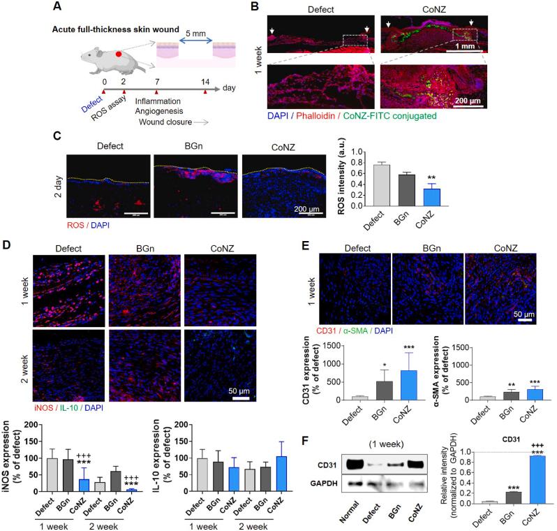 https://cdn.ncbi.nlm.nih.gov/pmc/blobs/cb64/10458956/2aa5dcd6139d/gr2.jpg