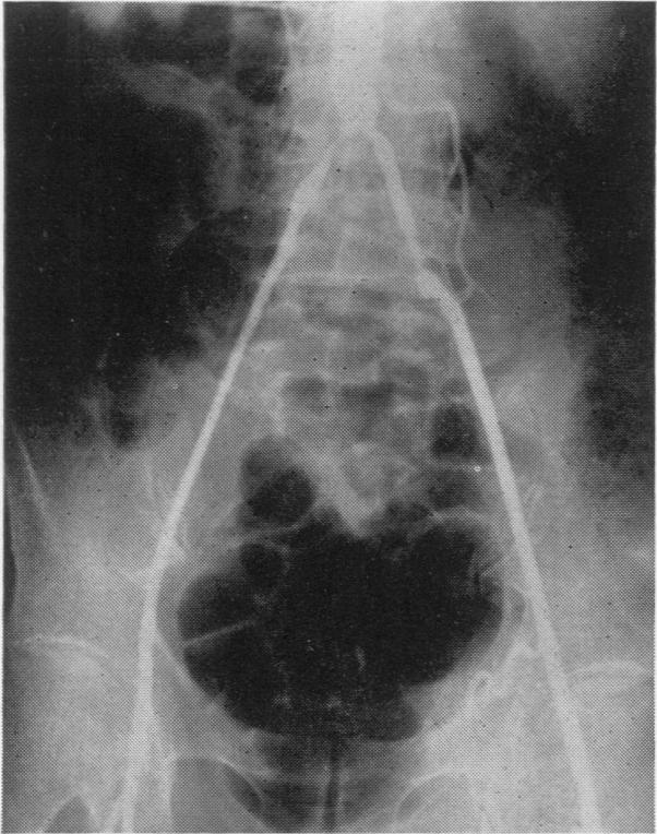 https://cdn.ncbi.nlm.nih.gov/pmc/blobs/cb64/2377934/fd0e122a4761/annrcse00306-0044-b.jpg