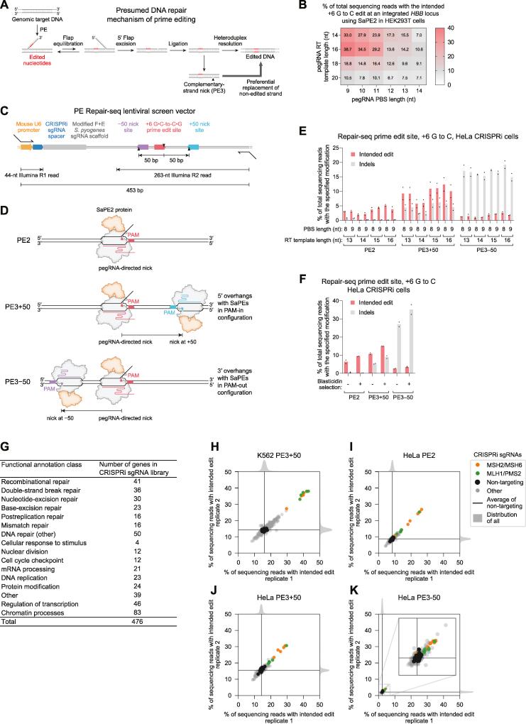 https://cdn.ncbi.nlm.nih.gov/pmc/blobs/cb64/8584034/9e823a931d61/figs1.jpg