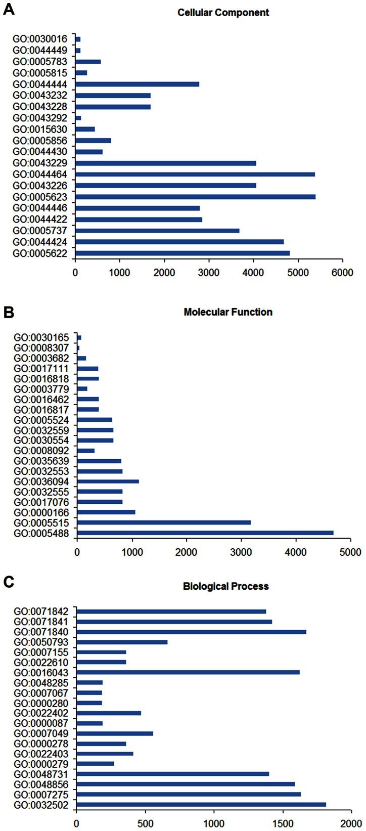 https://cdn.ncbi.nlm.nih.gov/pmc/blobs/cb65/3676445/5c2c466366ac/pone.0064356.g004.jpg