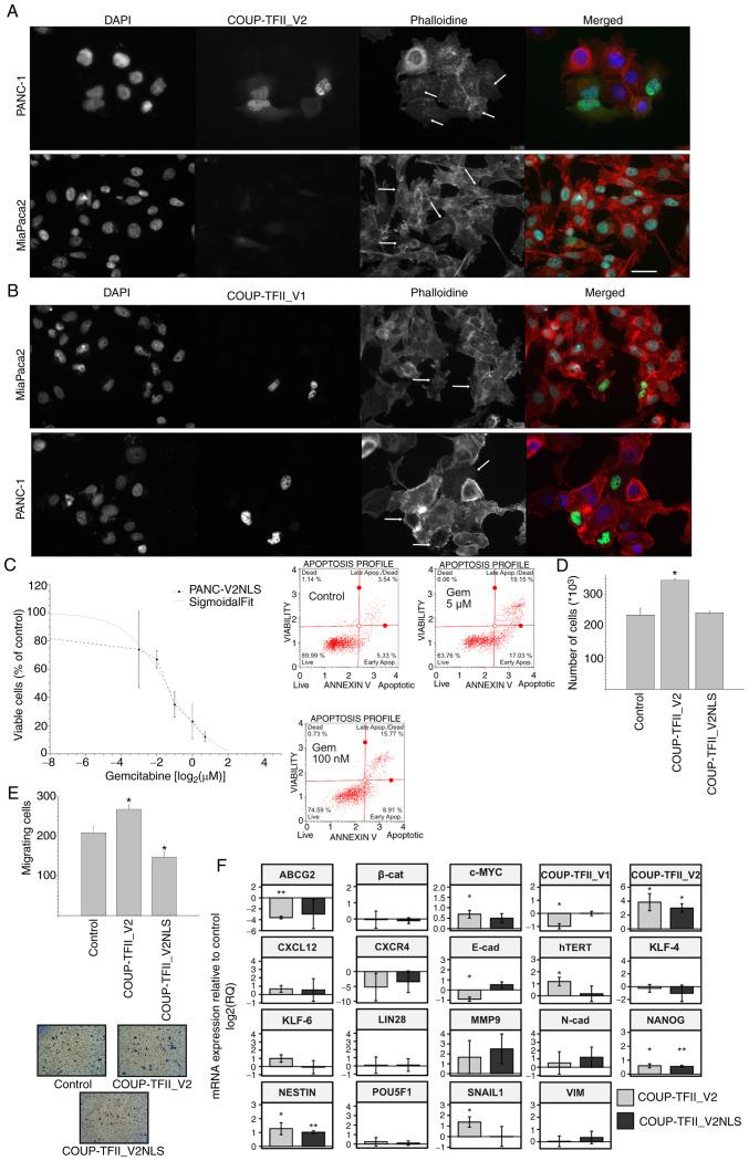 https://cdn.ncbi.nlm.nih.gov/pmc/blobs/cb65/8997336/673cb2190929/IJO-60-05-05345-g06.jpg
