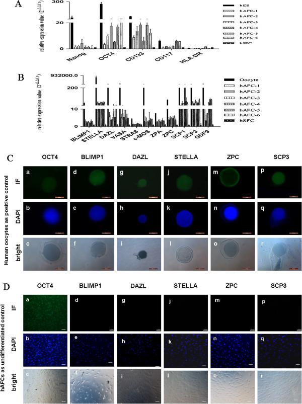 https://cdn.ncbi.nlm.nih.gov/pmc/blobs/cb66/3844331/13d1e87be893/1471-213X-13-34-1.jpg