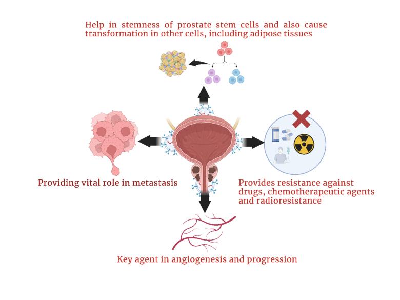 https://cdn.ncbi.nlm.nih.gov/pmc/blobs/cb67/10571058/7368314d4899/cdr-6-3-481.fig.2.jpg