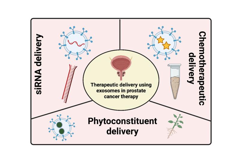 https://cdn.ncbi.nlm.nih.gov/pmc/blobs/cb67/10571058/a78eb432286d/cdr-6-3-481.fig.3.jpg