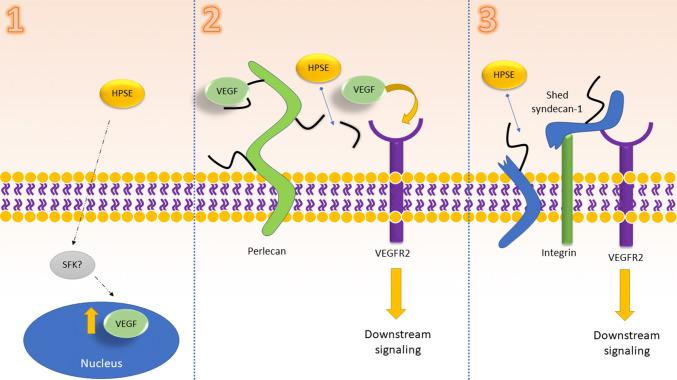 https://cdn.ncbi.nlm.nih.gov/pmc/blobs/cb68/11104798/ee4dc217b9f9/18_2020_3559_Fig2_HTML.jpg
