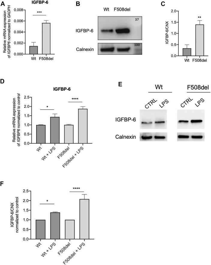 https://cdn.ncbi.nlm.nih.gov/pmc/blobs/cb69/9322660/afc00c08a61c/fmolb-09-905468-g001.jpg