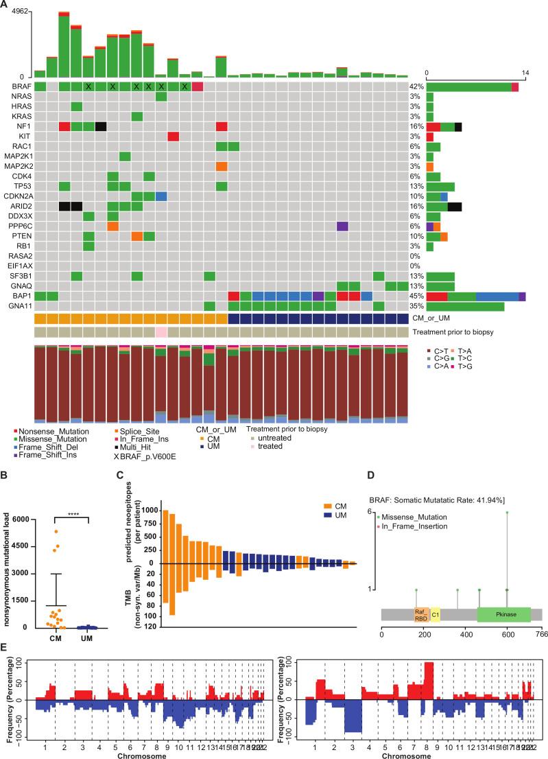 https://cdn.ncbi.nlm.nih.gov/pmc/blobs/cb6a/7713183/26f30b732bfc/jitc-2020-001501f01.jpg