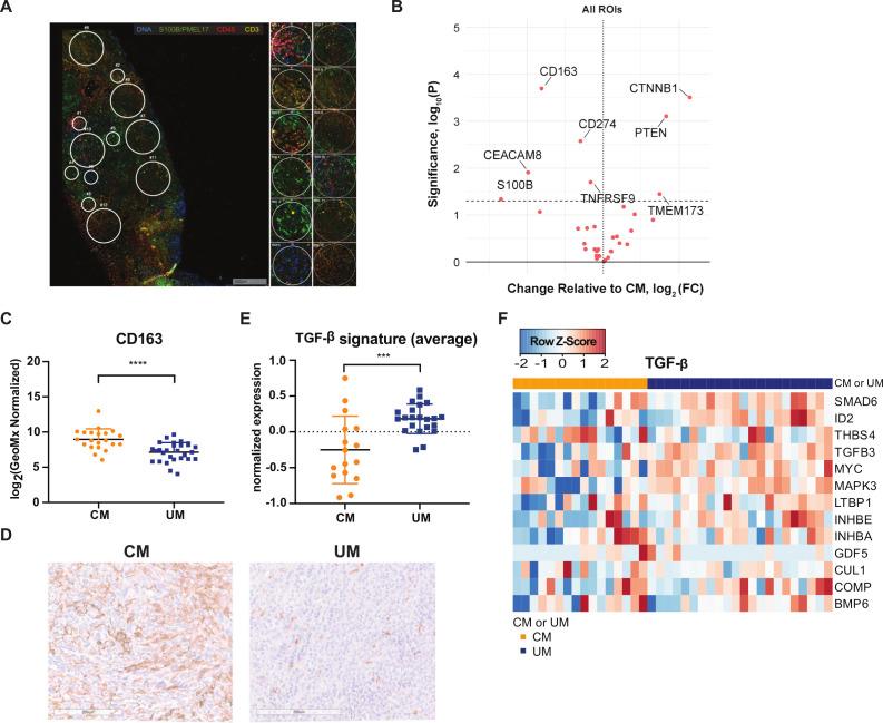 https://cdn.ncbi.nlm.nih.gov/pmc/blobs/cb6a/7713183/271c139b0b8b/jitc-2020-001501f05.jpg