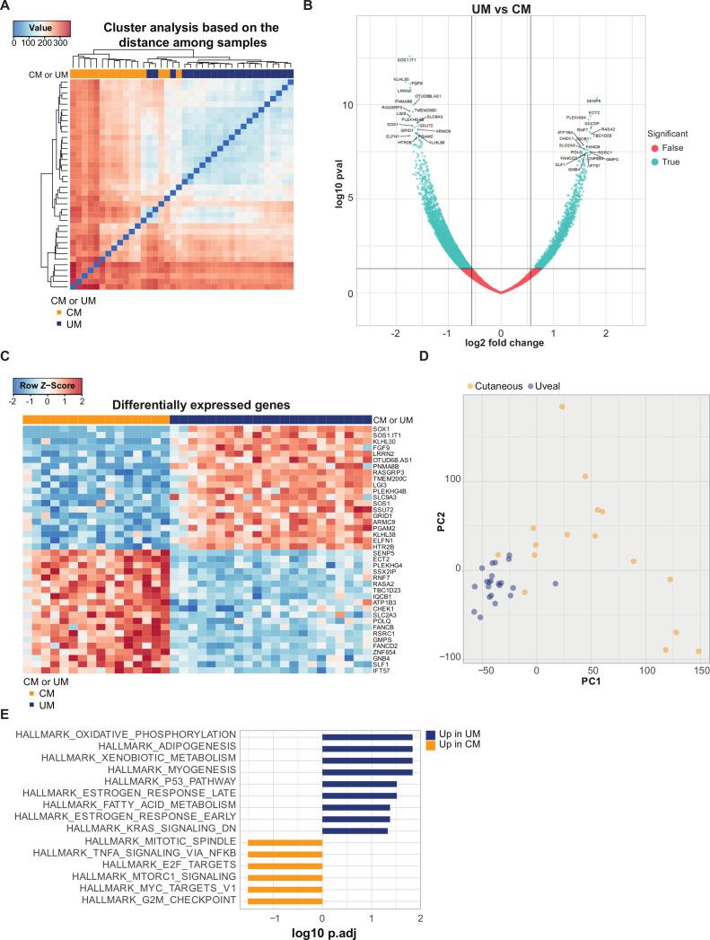 https://cdn.ncbi.nlm.nih.gov/pmc/blobs/cb6a/7713183/37f59932d4d6/jitc-2020-001501f04.jpg