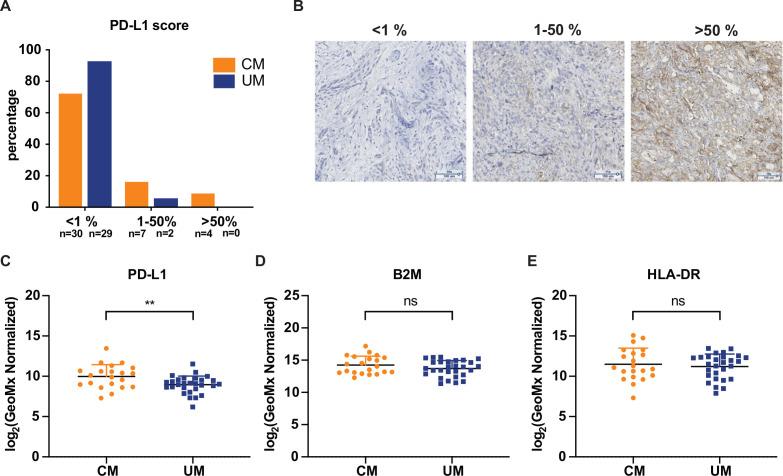 https://cdn.ncbi.nlm.nih.gov/pmc/blobs/cb6a/7713183/eda9a292600f/jitc-2020-001501f02.jpg