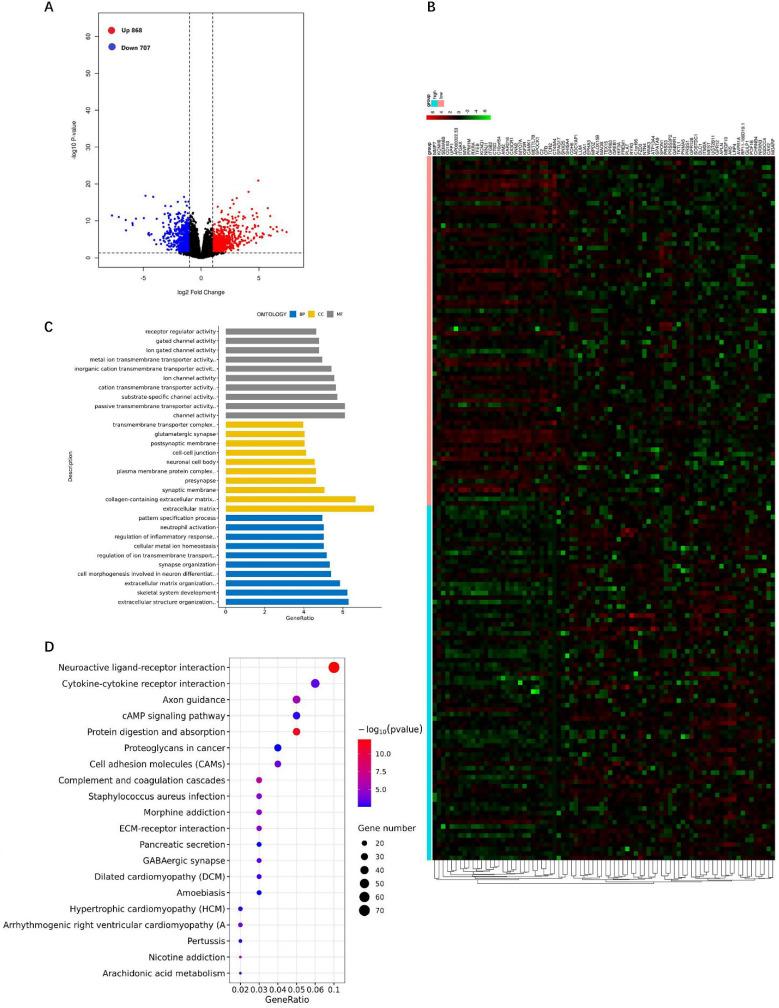 https://cdn.ncbi.nlm.nih.gov/pmc/blobs/cb6a/8176412/48cd279f17b4/jcav12p4229g006.jpg