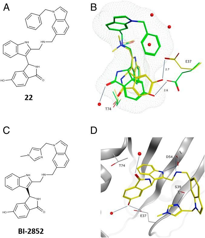 https://cdn.ncbi.nlm.nih.gov/pmc/blobs/cb6b/6689897/6f88ce8ef4c7/pnas.1904529116fig04.jpg