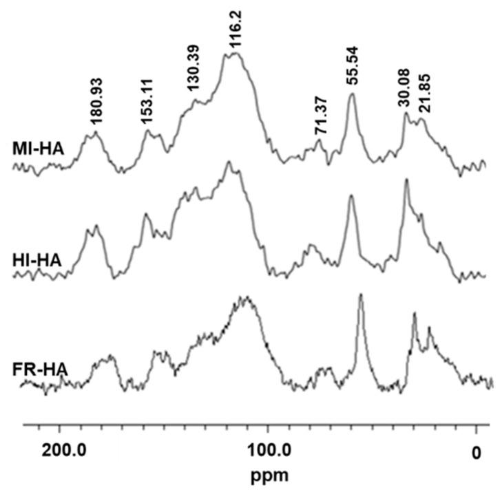 https://cdn.ncbi.nlm.nih.gov/pmc/blobs/cb6d/10780382/1f241e83db28/plants-13-00056-g002.jpg