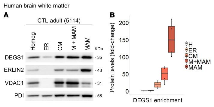 https://cdn.ncbi.nlm.nih.gov/pmc/blobs/cb6e/10178845/a233ee087461/jci-133-162957-g005.jpg