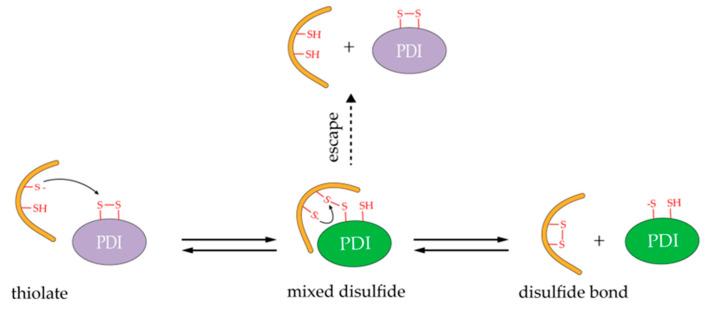 https://cdn.ncbi.nlm.nih.gov/pmc/blobs/cb6f/7794689/6f91cd5ecad5/molecules-26-00171-g002.jpg