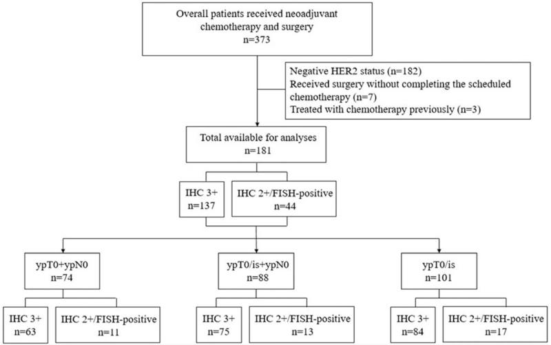 https://cdn.ncbi.nlm.nih.gov/pmc/blobs/cb72/8568472/99c6dfb95126/medi-100-e27632-g001.jpg