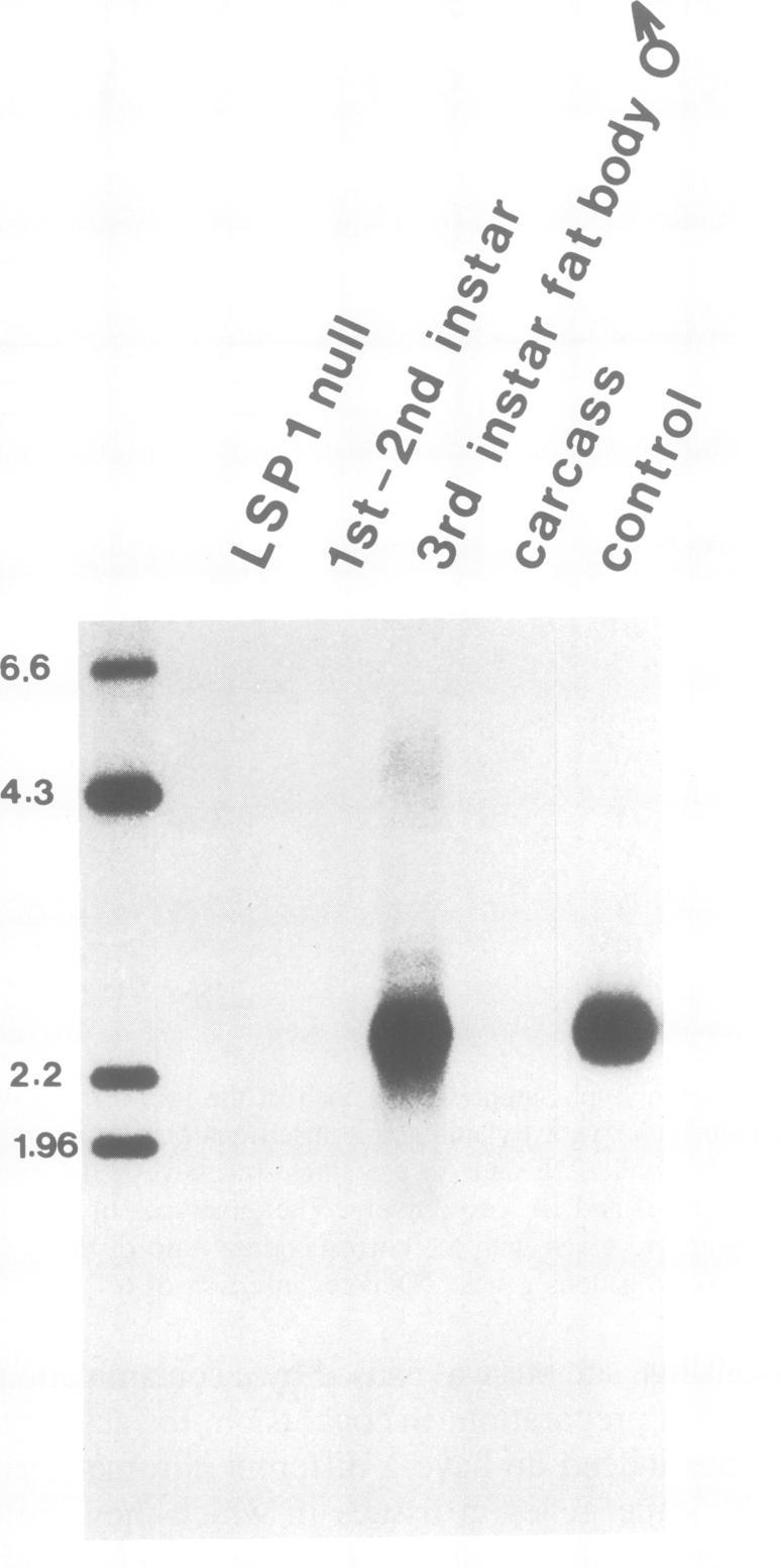 https://cdn.ncbi.nlm.nih.gov/pmc/blobs/cb76/554732/11b6d3010103/emboj00279-0149-a.jpg