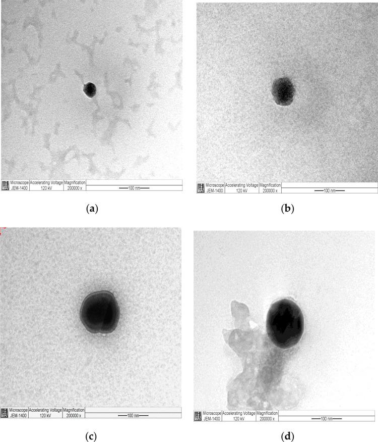 https://cdn.ncbi.nlm.nih.gov/pmc/blobs/cb77/10804975/b6a1c908fb1e/IJN-19-609-g0003.jpg