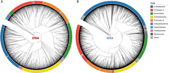 https://cdn.ncbi.nlm.nih.gov/pmc/blobs/cb79/12084623/1fe8a94c21a5/41598_2025_969_Fig2_HTML.jpg