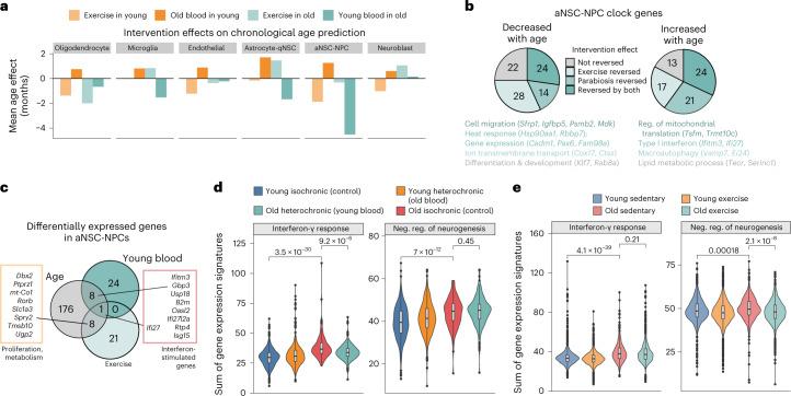https://cdn.ncbi.nlm.nih.gov/pmc/blobs/cb7a/10154228/2c05e5d83831/43587_2022_335_Fig6_HTML.jpg