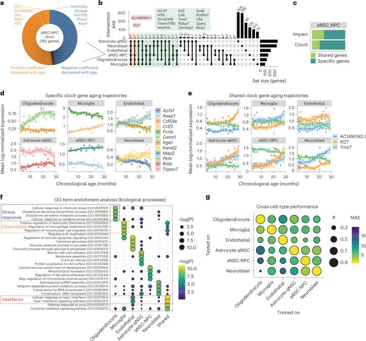 https://cdn.ncbi.nlm.nih.gov/pmc/blobs/cb7a/10154228/c4456ea49456/43587_2022_335_Fig3_HTML.jpg