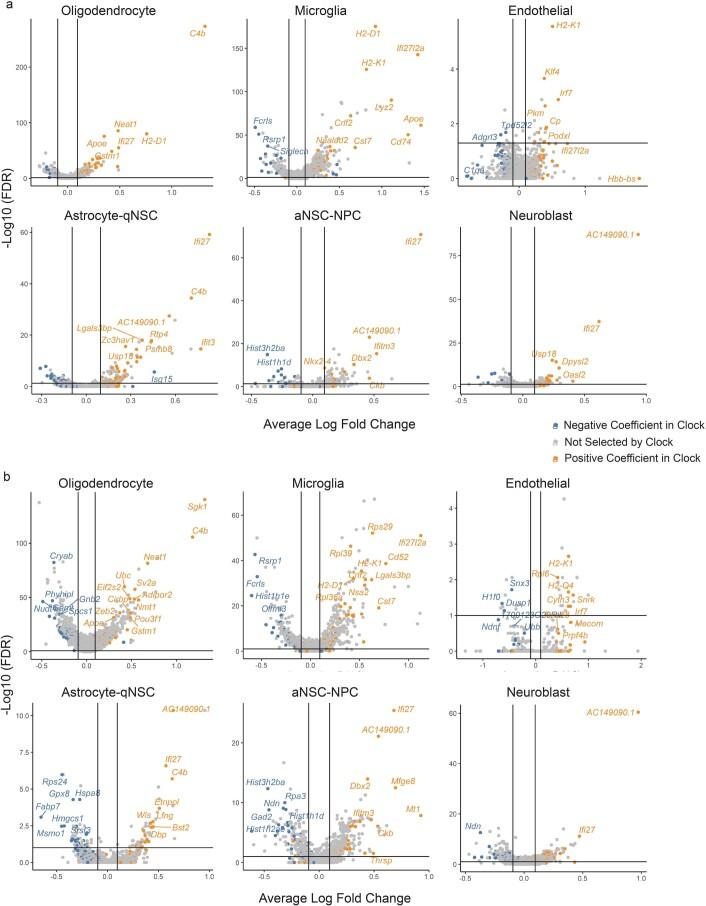 https://cdn.ncbi.nlm.nih.gov/pmc/blobs/cb7a/10154228/ed17f0eccb2a/43587_2022_335_Fig11_ESM.jpg