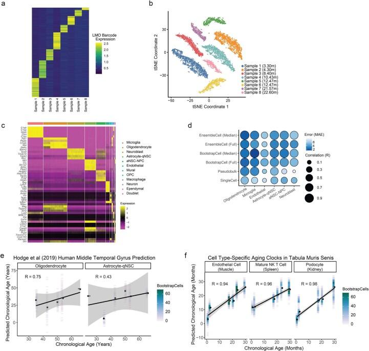 https://cdn.ncbi.nlm.nih.gov/pmc/blobs/cb7a/10154228/f2b7b9b13cc6/43587_2022_335_Fig8_ESM.jpg
