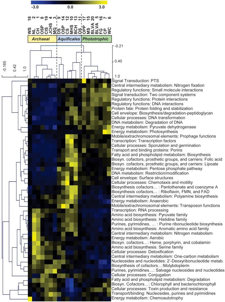 https://cdn.ncbi.nlm.nih.gov/pmc/blobs/cb7a/3644721/7dde148a1c92/fmicb-04-00067-g007.jpg