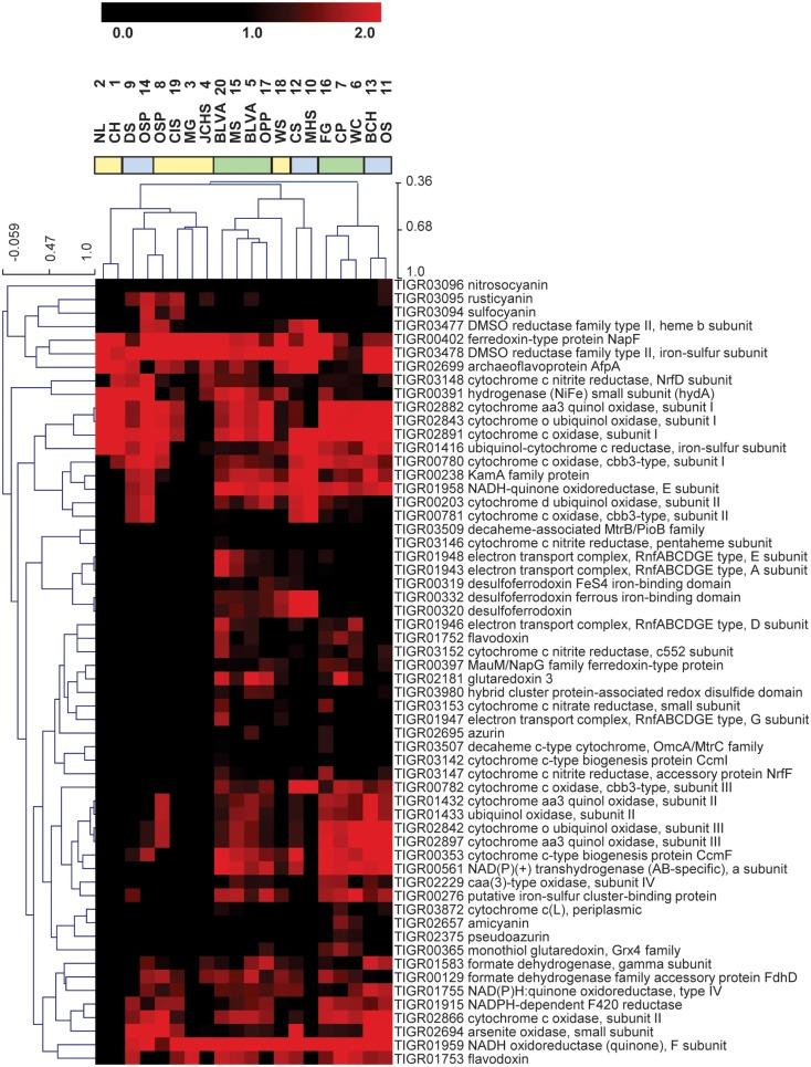 https://cdn.ncbi.nlm.nih.gov/pmc/blobs/cb7a/3644721/b3aadaabc601/fmicb-04-00067-g008.jpg
