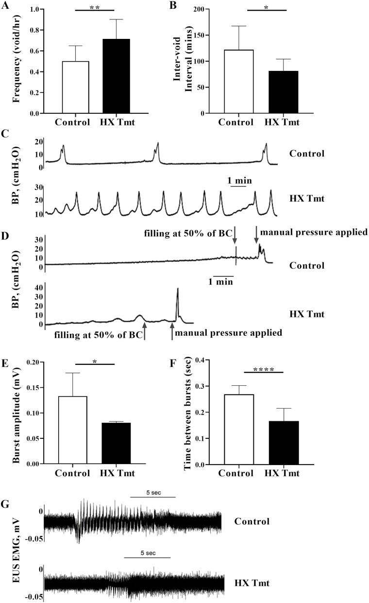 https://cdn.ncbi.nlm.nih.gov/pmc/blobs/cb7b/11083631/57f818575de5/glad171_fig1.jpg