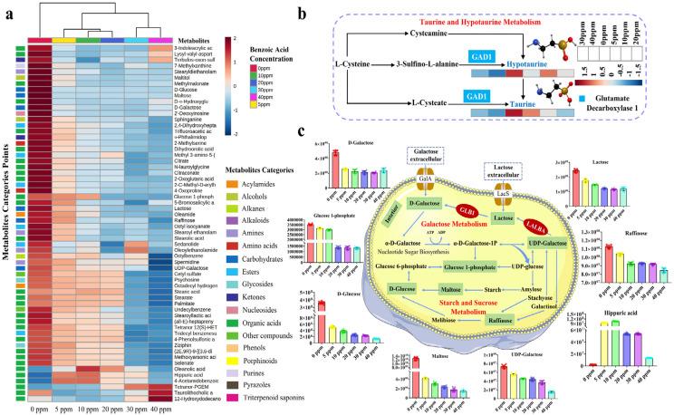 https://cdn.ncbi.nlm.nih.gov/pmc/blobs/cb7b/11670729/e3b24ca98d04/gr4.jpg