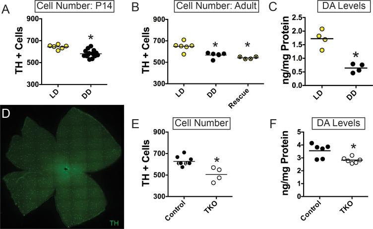 https://cdn.ncbi.nlm.nih.gov/pmc/blobs/cb7b/6221543/5af13fc57e9b/elife-39866-fig1.jpg