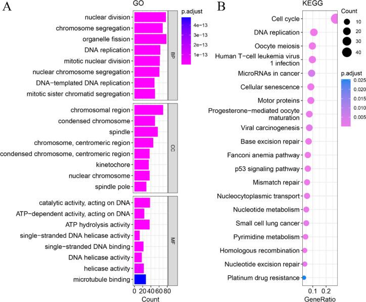 https://cdn.ncbi.nlm.nih.gov/pmc/blobs/cb7e/10675979/68d6a5d78c50/12957_2023_3250_Fig6_HTML.jpg