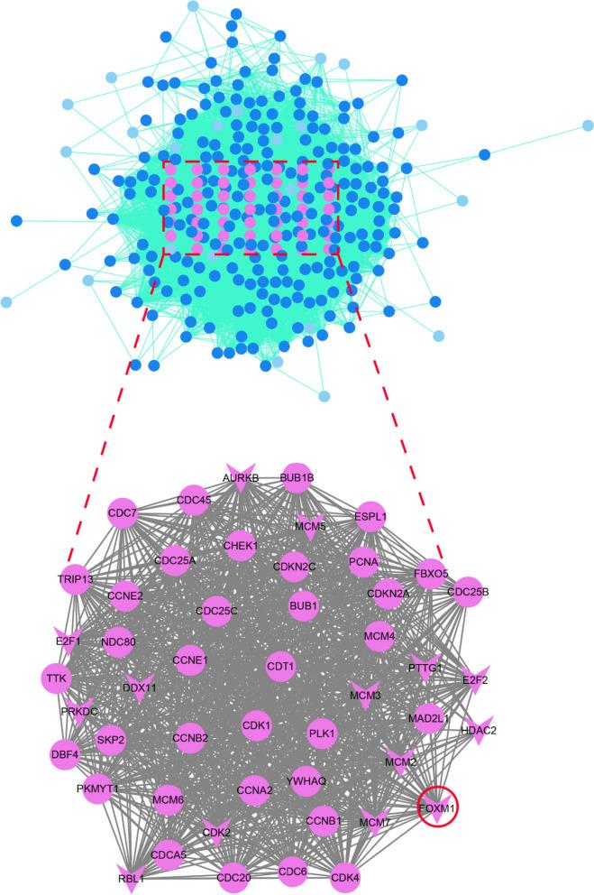 https://cdn.ncbi.nlm.nih.gov/pmc/blobs/cb7e/10675979/841bc5c6a1ba/12957_2023_3250_Fig7_HTML.jpg