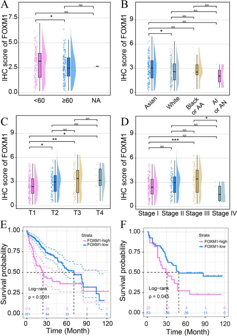 https://cdn.ncbi.nlm.nih.gov/pmc/blobs/cb7e/10675979/eb65670cd4f7/12957_2023_3250_Fig5_HTML.jpg