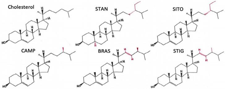 https://cdn.ncbi.nlm.nih.gov/pmc/blobs/cb7e/10876456/e659a844509a/S0007114523002532_fig1.jpg